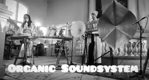Organic Sound System Banner Image